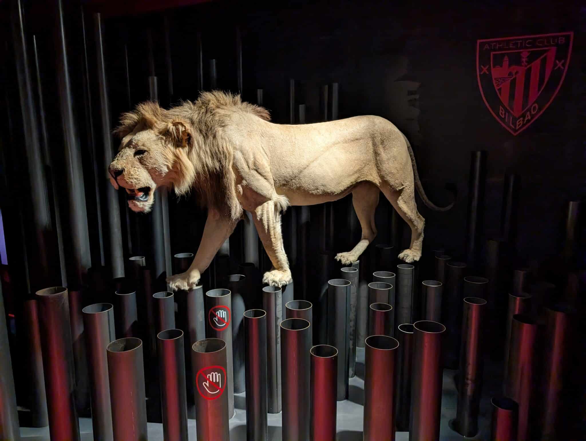 León del Athletic en San Mames